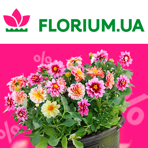 промокод Florium